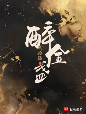 《醉金盏》小说封面