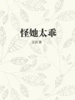 《怪她太乖》小说封面