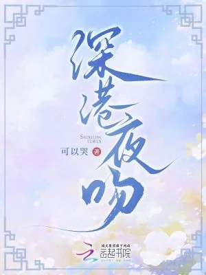 《深港夜吻》小说封面