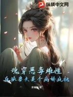 《魂穿恶毒雌性，反派兽夫是个病娇疯批》小说封面