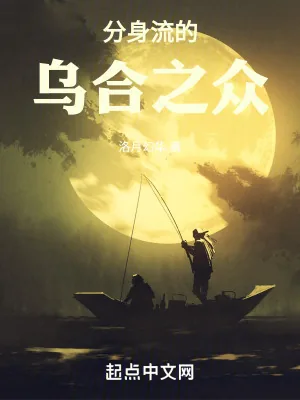 《分身流的乌合之众》小说封面