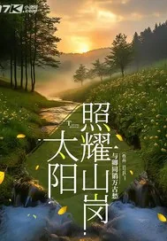 《太阳照耀山岗》小说封面
