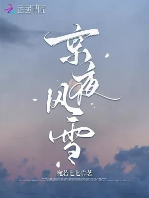 《京夜风雪》小说封面