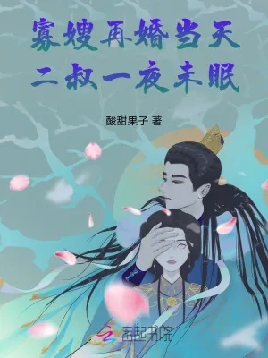 《寡嫂再婚当天，二叔一夜未眠！》小说封面
