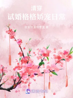 《清穿：试婚格格娇宠日常》小说封面
