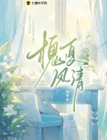 《槐夏风清》小说封面