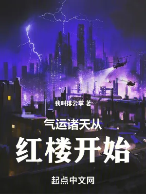 《气运诸天从红楼开始》小说封面