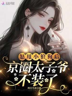 《怒甩小狼狗后，京圈太子爷不装了》小说封面