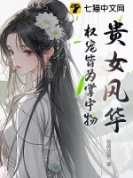 《贵女风华,权宠皆为掌中物》小说封面