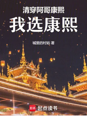 《清穿：阿哥，康熙，我选康熙！》小说封面