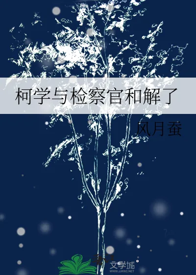 《柯学与检察官和解了》小说封面