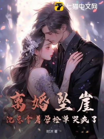 《离婚坠崖，沈总拿着孕检单哭疯了》小说封面