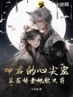 《神君的心尖宠，笨蛋娇妻她软又萌》小说封面