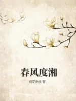《春风度湘》小说封面