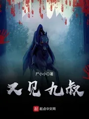 《又见九叔》小说封面