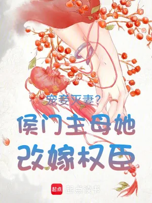《宠妾灭妻？侯门主母她改嫁权臣》小说封面