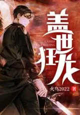 《盖世狂龙罗宾》小说封面