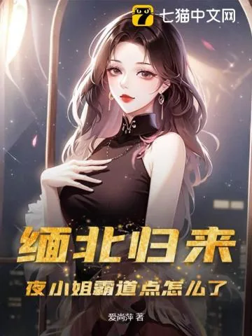 《缅北归来，夜小姐霸道点怎么了》小说封面