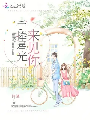《手捧星光来见你》小说封面