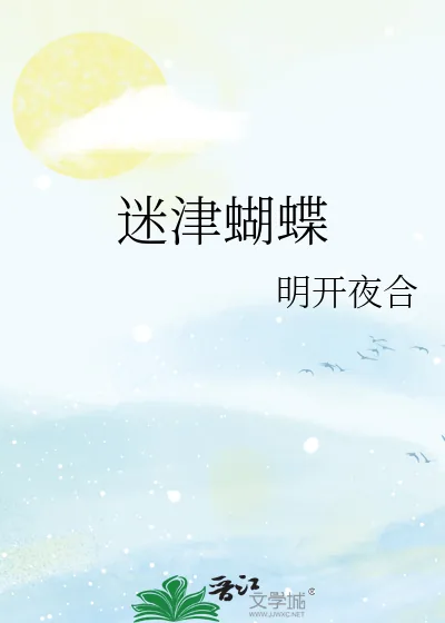 《迷津蝴蝶》小说封面
