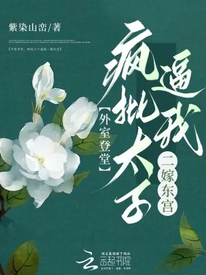 《外室登堂，疯批太子逼我二嫁东宫》小说封面