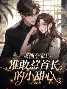 《谁敢惹首长的小甜心，灭他全家！》小说封面