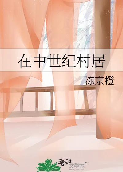 《在中世纪村居》小说封面