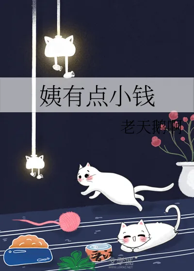 《姨有点小钱》小说封面