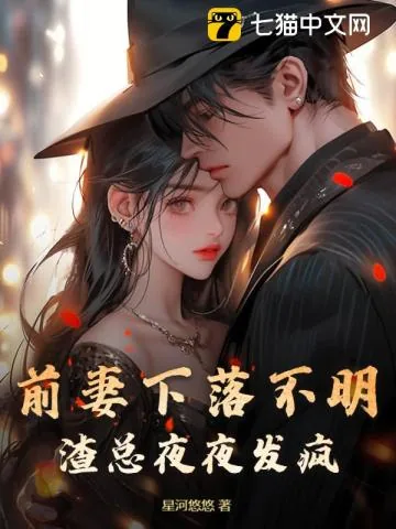 《前妻下落不明，渣总夜夜发疯》小说封面
