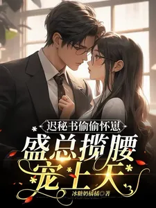 《迟秘书偷偷怀崽,盛总揽腰宠上天》小说封面