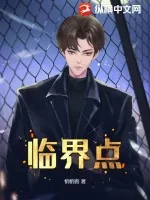《临界点》小说封面