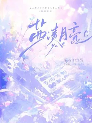《盐渍月亮》小说封面