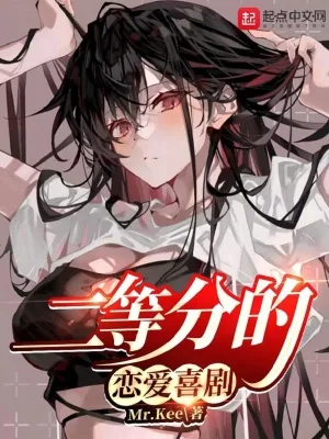 《二等分的恋爱喜剧》小说封面