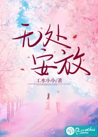 《无处安放》小说封面