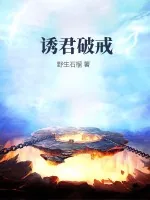 《诱君破戒》小说封面