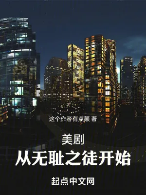 《美剧大恶人从无耻之徒开始》小说封面
