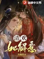 《清欢如解意》小说封面