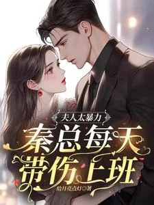 《夫人太暴力，秦总每天带伤上班》小说封面