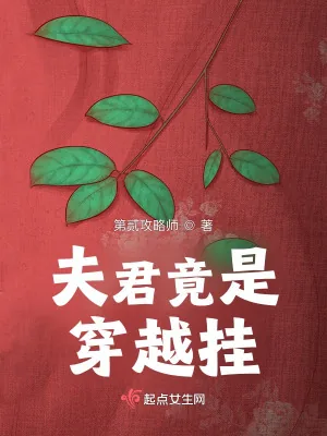 《夫君竟是穿越挂！》小说封面