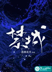 《禁城》小说封面