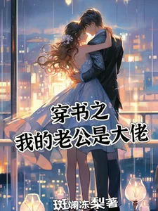 《穿书之我的老公是大佬》小说封面