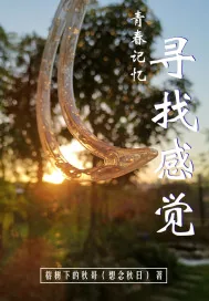 《懵懂碎片》小说封面
