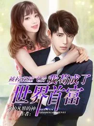 《陈凡赵琳》小说封面