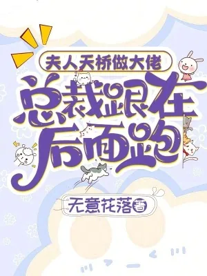 《夫人天桥做大佬，总裁跟在后面跑》小说封面