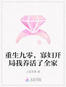 《重生九零，寡妇开局我养活了全家》小说封面