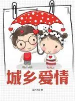 《城乡爱情》小说封面