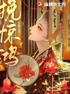 《挽惊鸿》小说封面