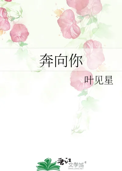 《奔向你》小说封面