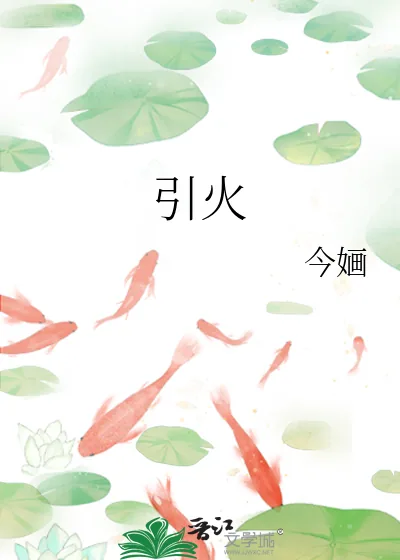 《引火》小说封面