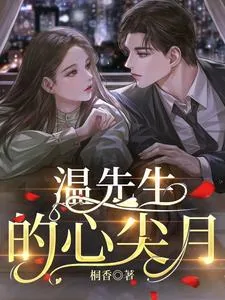 《温先生的心尖月》小说封面